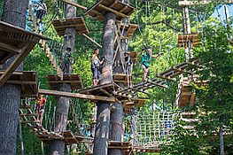 Cranmore Mountain Adventure Park
